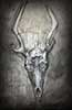 Charcoals