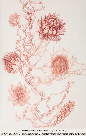 Image 17