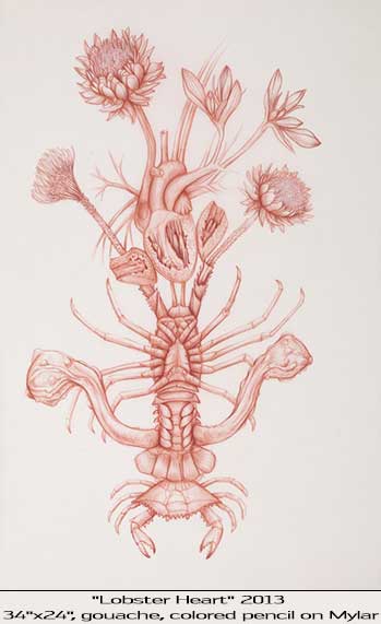 Image 19