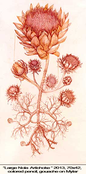 image24